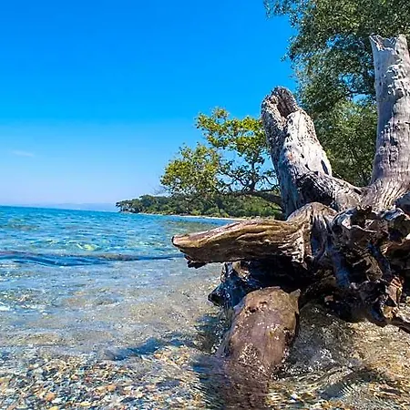 Ecer Ξενοδοχείο