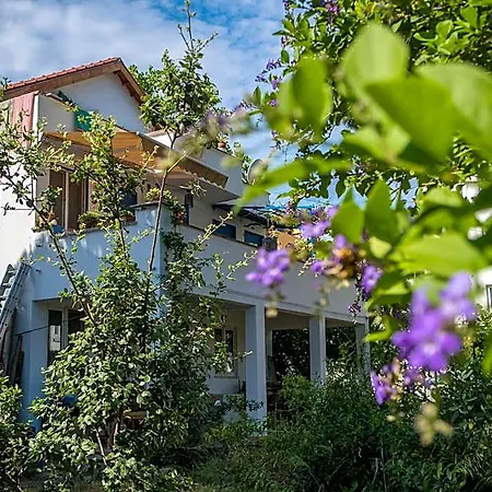 Hotel Ecer Guzelcamlı