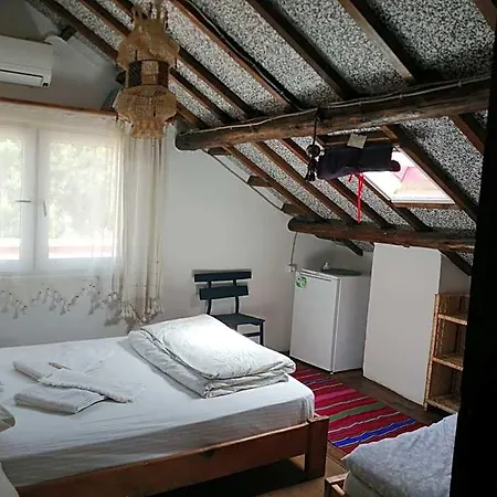 Ecer Guzelcamlı